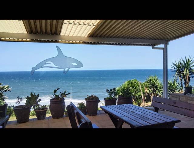 8 BEDROOM HOUSE SOLD IN BLUFF